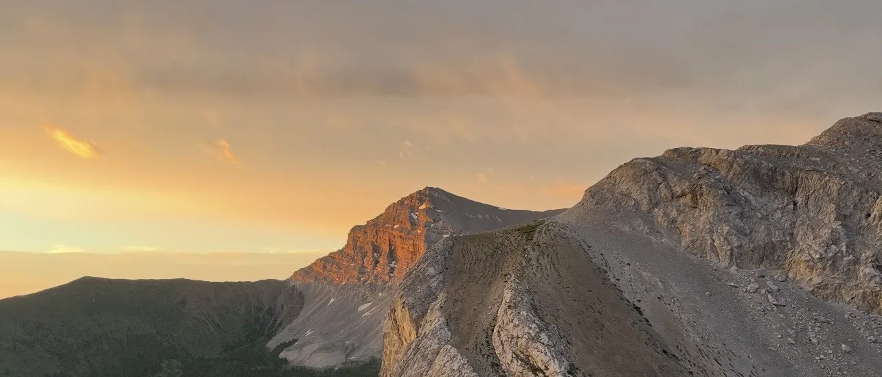 Alpenglow catching a distant limestone summit above a pale rock ridge, seen across an alpine meadow of grass and pink wildflowers at sunset.