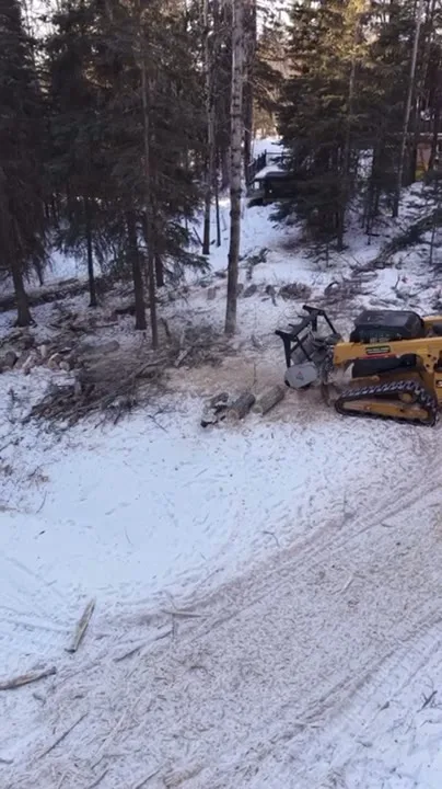 Tracked loader with a mulching head working a cleared line through snowy pine forest, cut timber lying on the ground.
